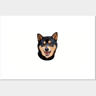 Shiba Inu black and tan dog Posters and Art